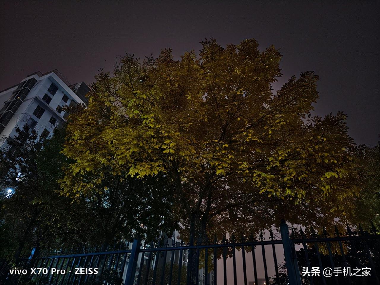 vivox70+pro参数(vivox70pro手机参数价格)插图16
