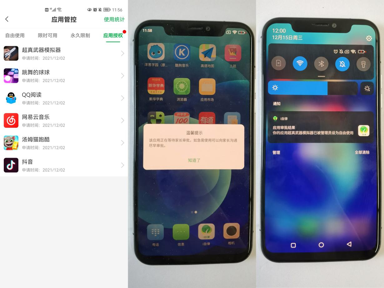 ipro p100学生卖多少钱(p10p手机参数配置)插图10