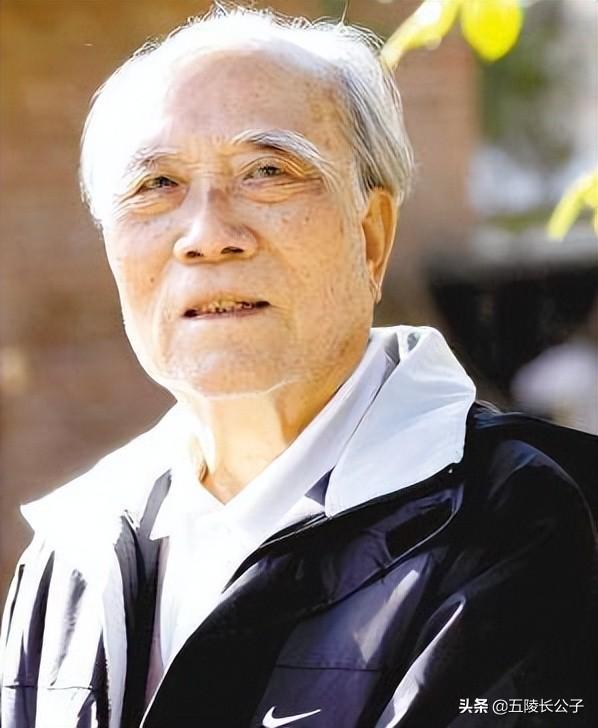现代长篇小说排行榜(长篇文学小说推荐排行榜)插图5