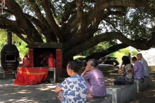 塔寨村的原型村现状(塔寨村的原型是谁)