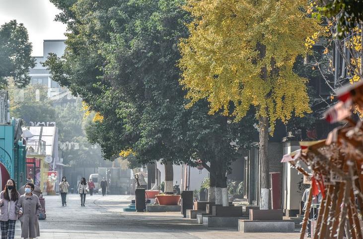 乌衣巷位于什么地方(乌衣巷位于什么地方哪个省)