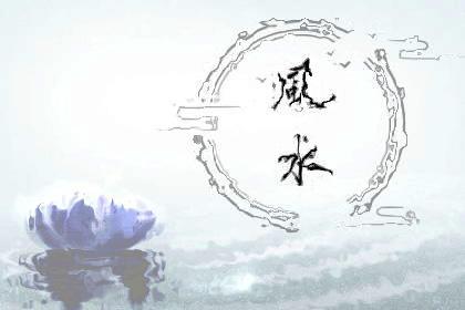 壁虎在家里是什么征兆(壁虎进家里怎么处理)插图9