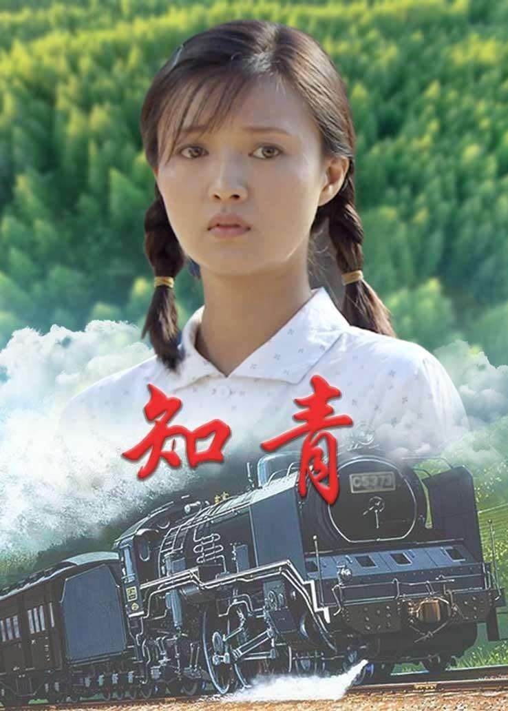 最好看十部知青电视剧(知青电视剧推荐经典排行榜)插图