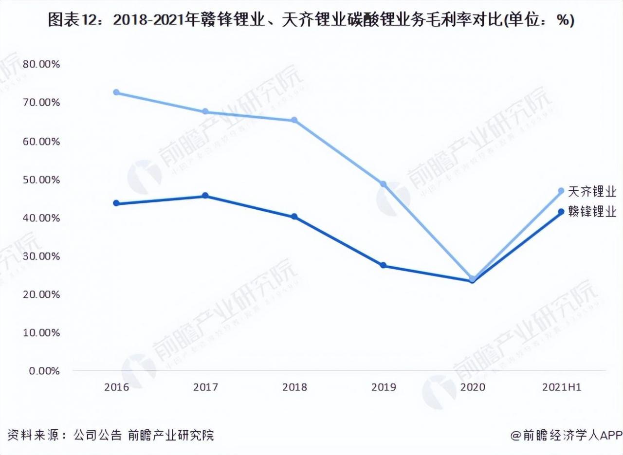 中国碳酸锂十大公司(中国锂电池十大排名)插图11