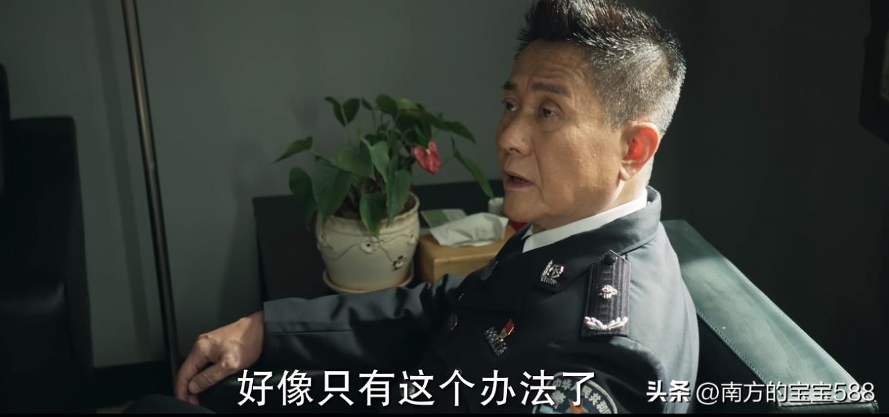 冰雨火中的林局是不是内鬼(冰雨火大结局谁是内鬼)插图9