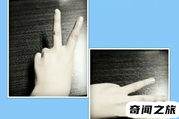 8023是什么梗顺口溜(8023在游戏上说是什么意思)插图2