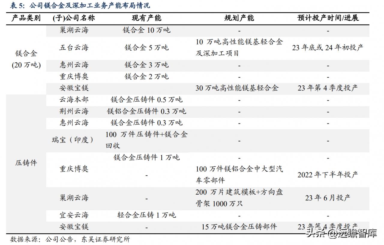 镁矿真正龙头企业(镁矿龙头上市公司)插图10