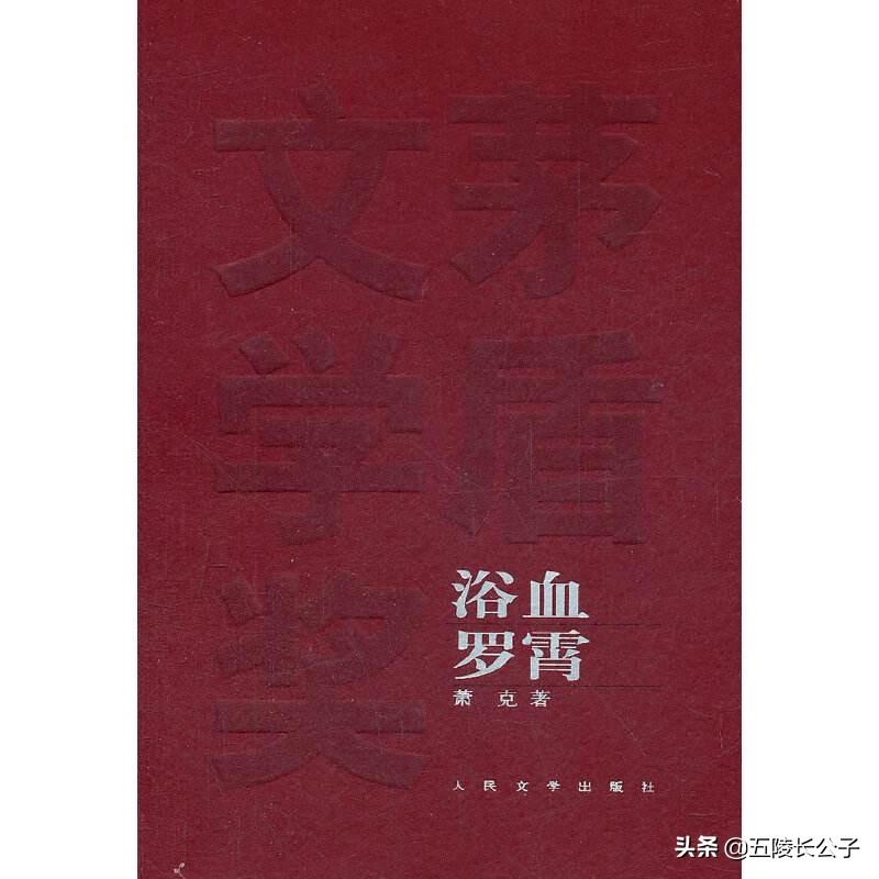 现代长篇小说排行榜(长篇文学小说推荐排行榜)插图9