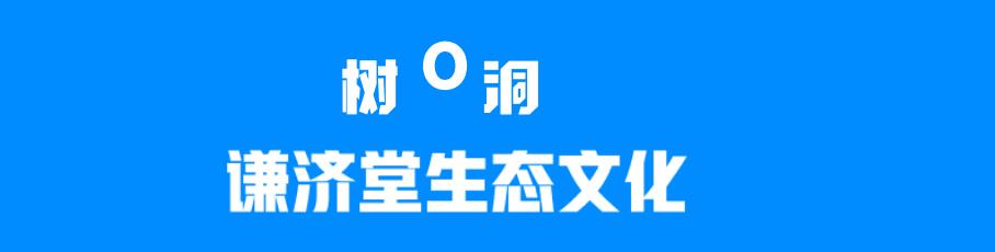 网络流行词树洞是什么意思(网络用语当个树洞是什么意思)插图