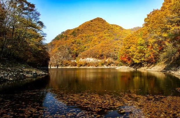 辽宁最穷十大城市排名(辽宁最牛逼的城市排名)插图