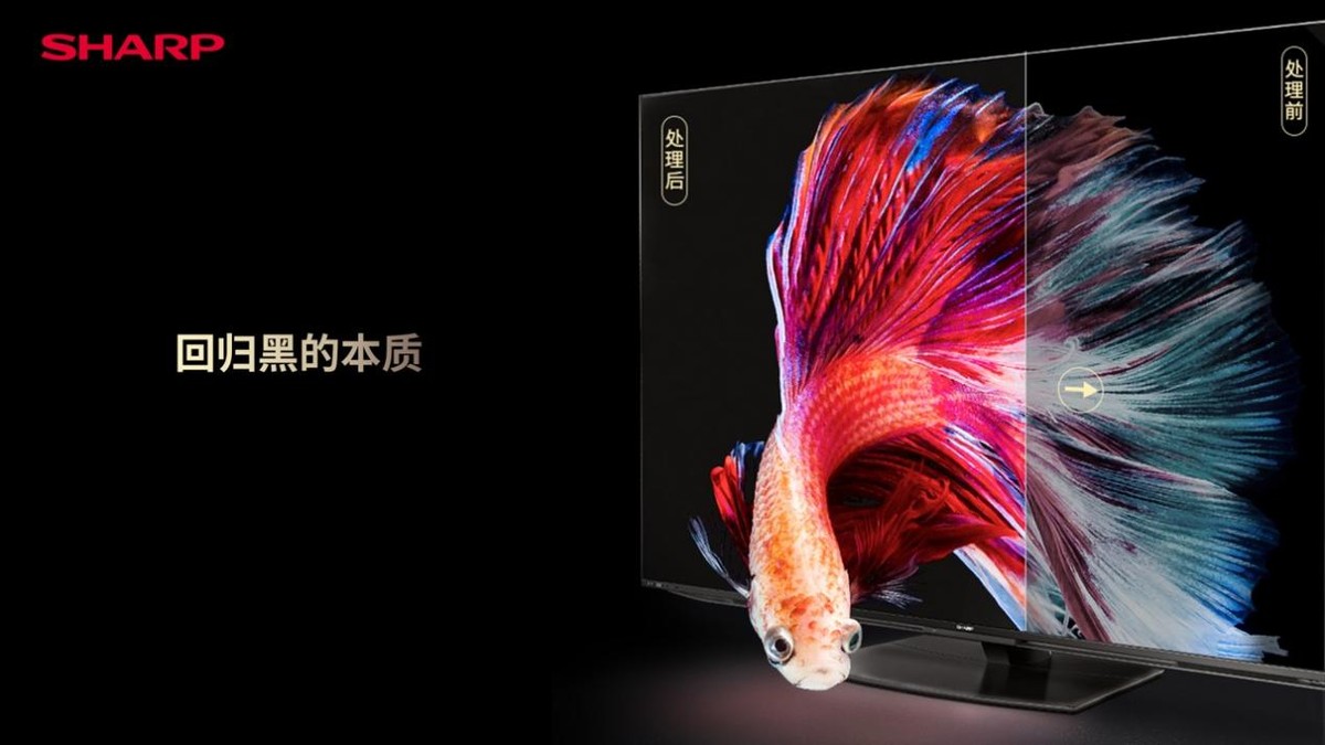aquos电视机插口(88寸4koled电视价格)插图6