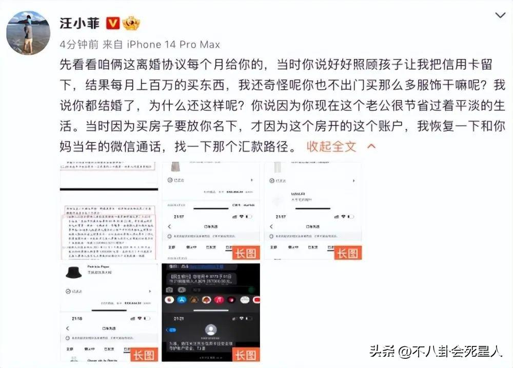 汪小菲现在身价多少亿 (汪小菲现有多少资产)插图5