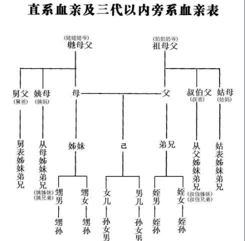 辈分称呼大全排列图 (中国关系图谱)