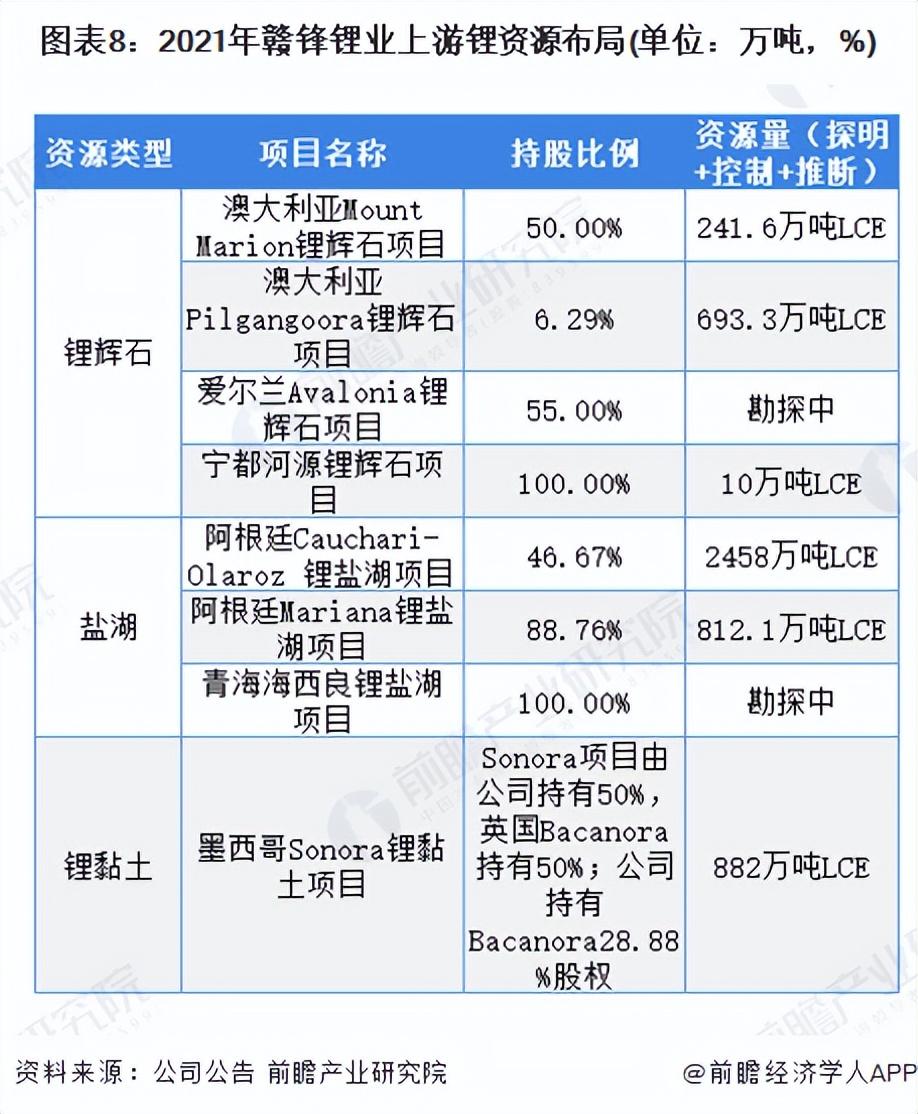 中国碳酸锂十大公司(中国锂电池十大排名)插图7