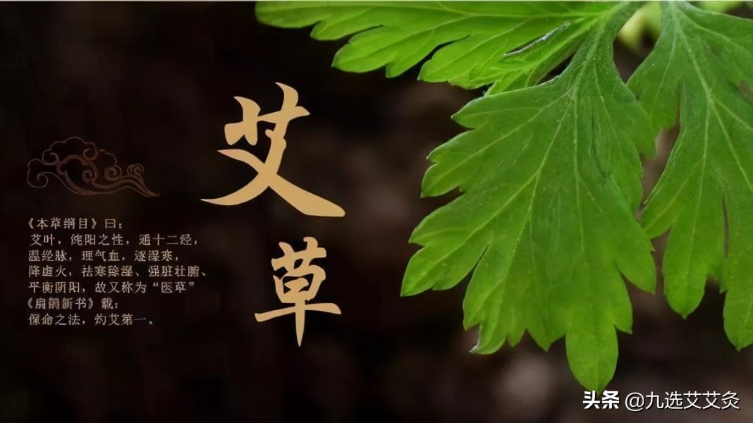 这8种人千万不能艾灸(有哪八种人不能做艾灸)插图