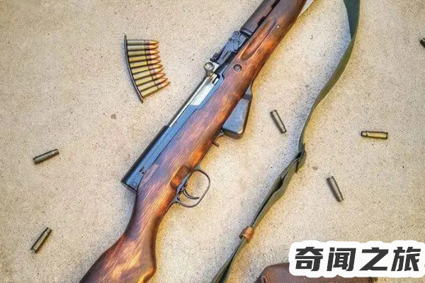 95式自动步枪威力大吗(95式自动步枪1000米威力有多大)插图8