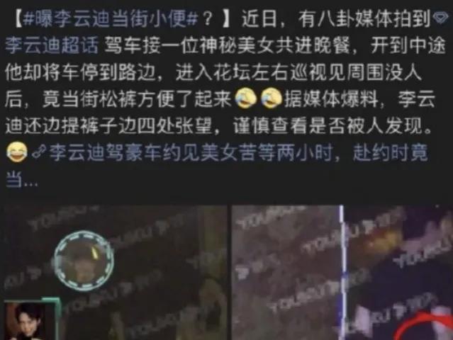 李云迪怎么了(李云迪怎么被发现的)插图13