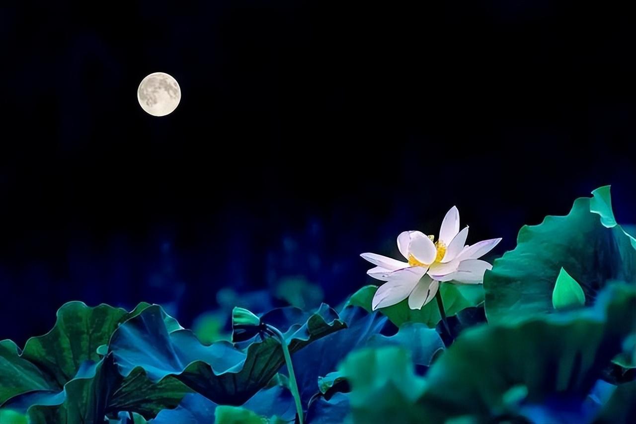 特别厌恶母亲是心理疾病(厌恶母亲是什么心理)插图2
