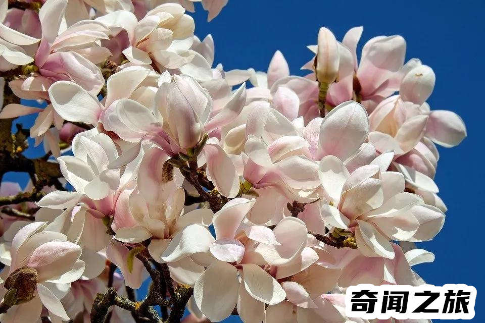 n号房录像曝光(n号房间事件被拍成电视剧)