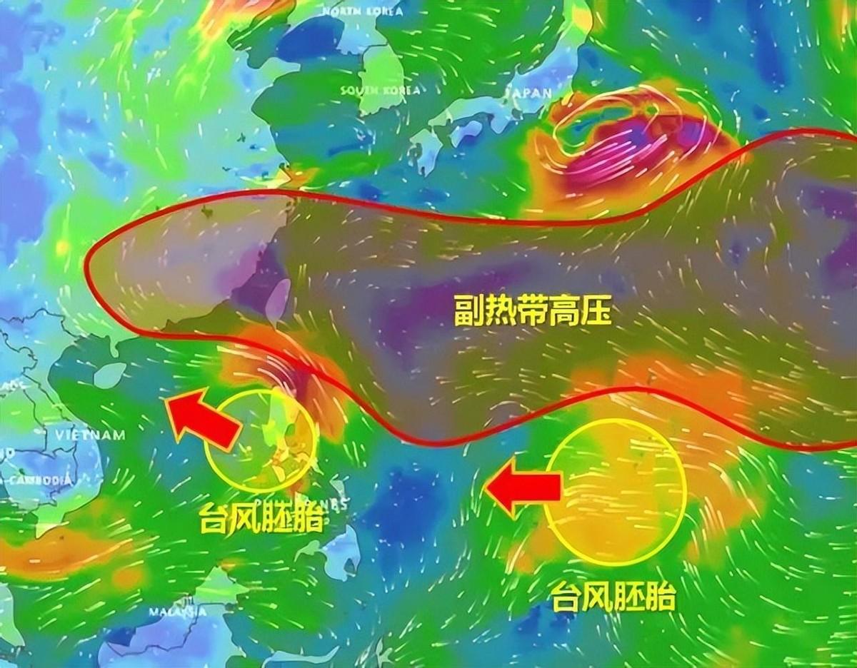 历史上最强台风多少级(历史上最强台风排名)插图2