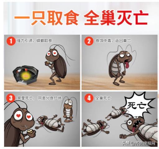 蟑螂会靠近熟睡的人吗(蟑螂会咬人吗)插图1