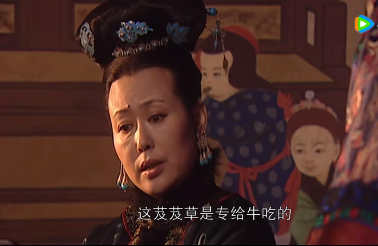 孝庄为什么扒了董鄂妃的衣服(孝庄为什么要挑走鄂妃的衣服)插图1