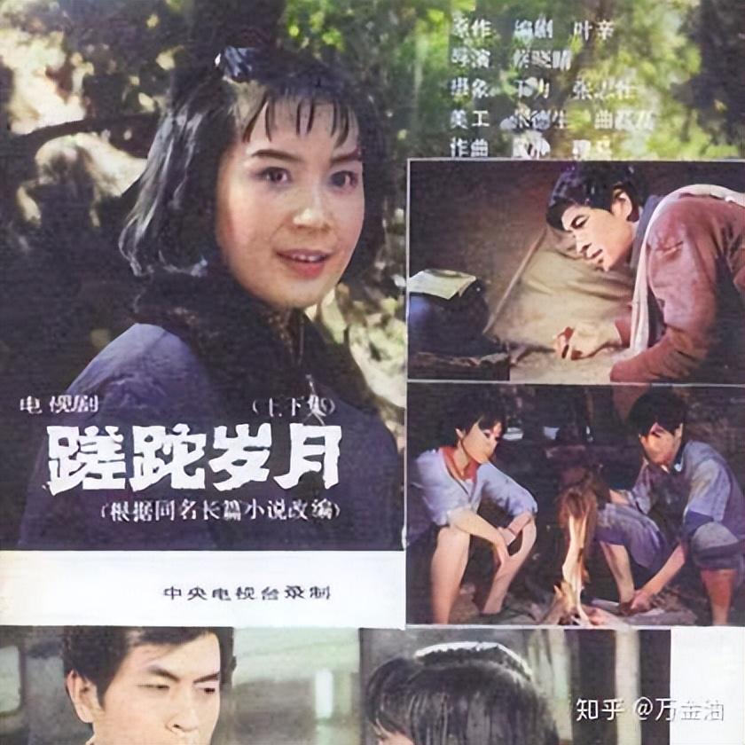 最好看十部知青电视剧(知青电视剧推荐经典排行榜)插图2