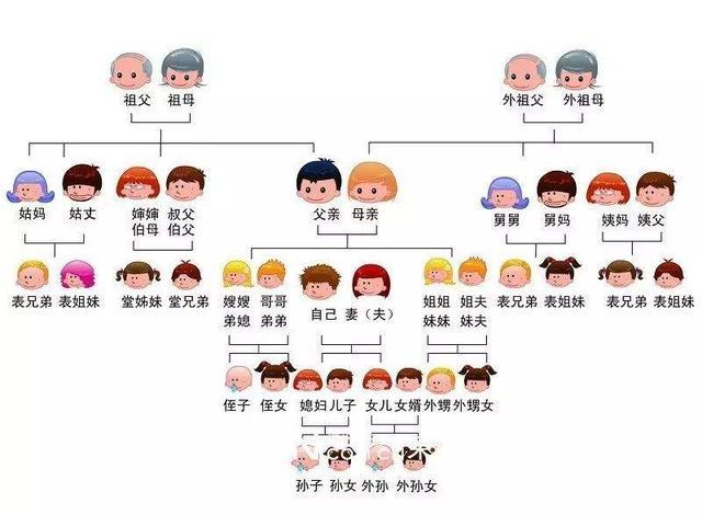 辈分称呼大全排列图 (中国关系图谱)插图1