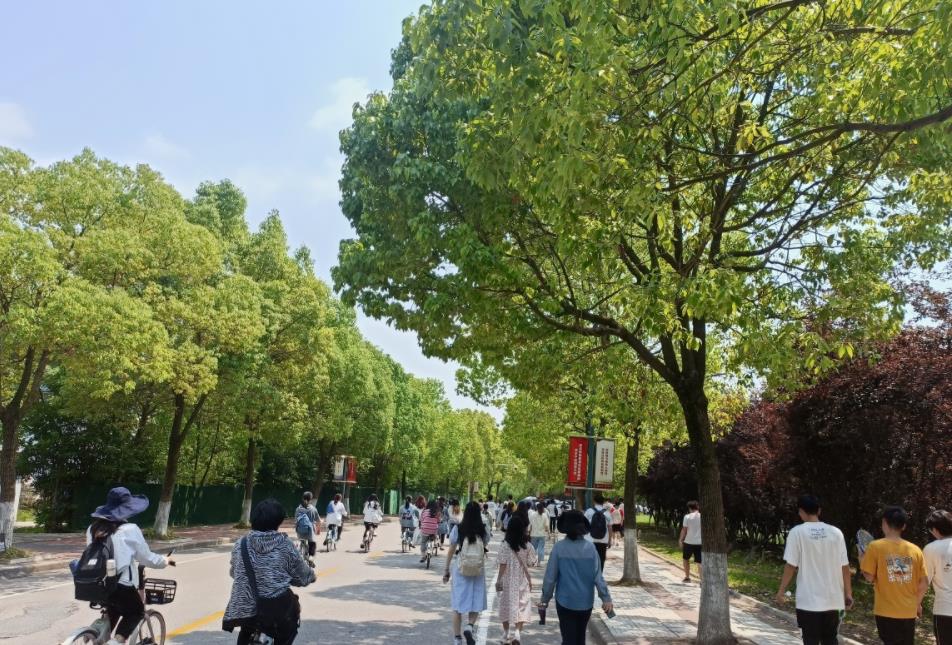 南京最值得上的二本大学(南京二本大学一览表)插图1