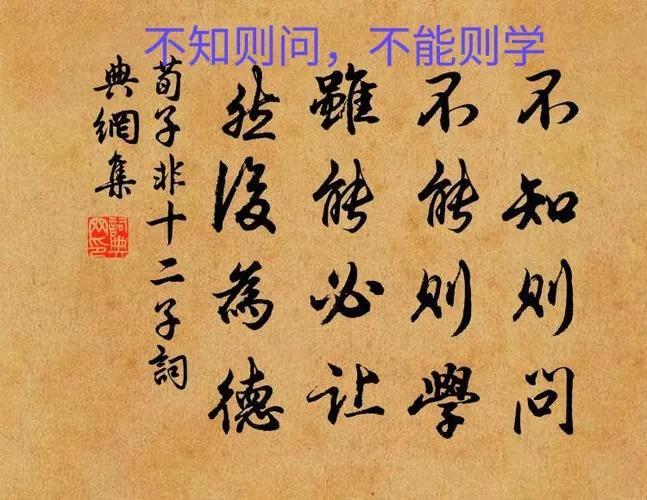 不知则问不能则学相关励志句子(知之为知之不知为不知阅读感悟)插图