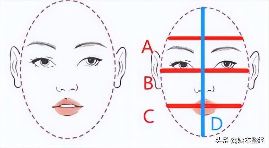 扫脸测试自己的脸型 (扫脸识人)插图7
