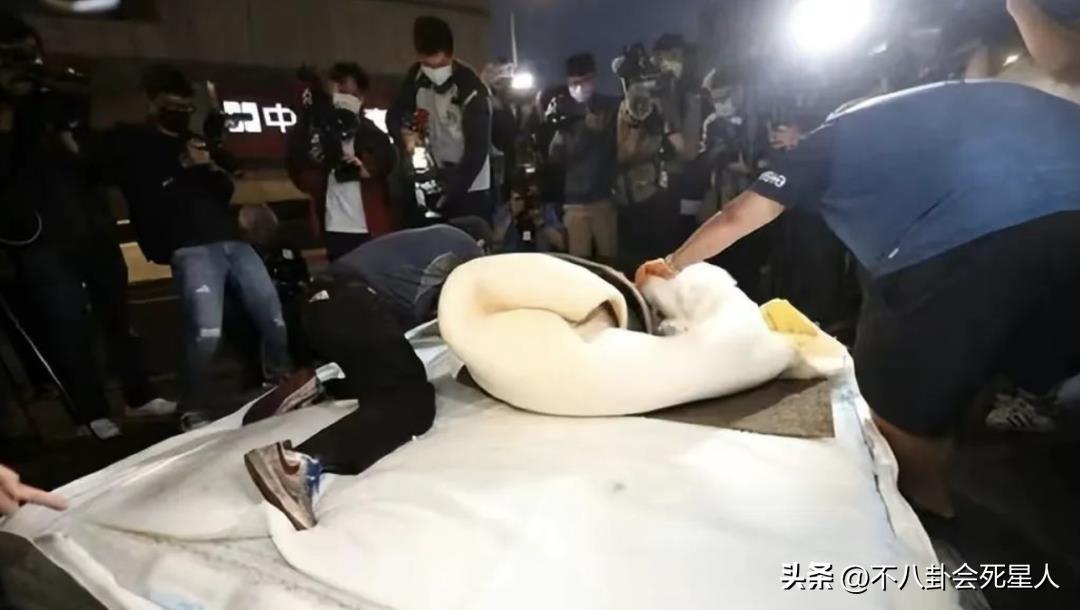 汪小菲现在身价多少亿 (汪小菲现有多少资产)插图1