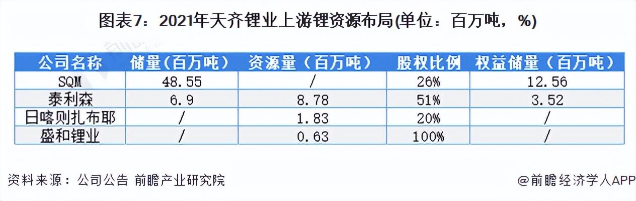 中国碳酸锂十大公司(中国锂电池十大排名)插图6