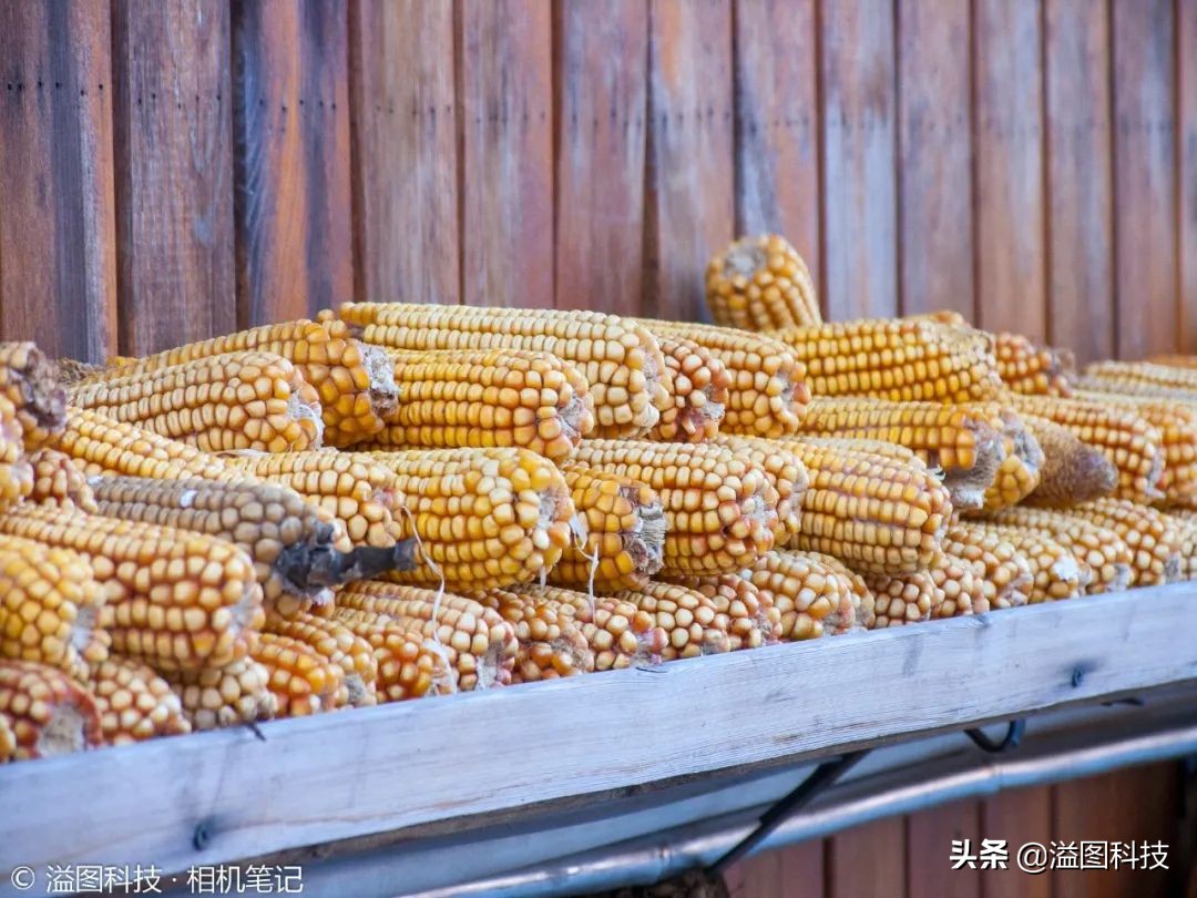 powershotzoom报价(powershot720价格)插图7