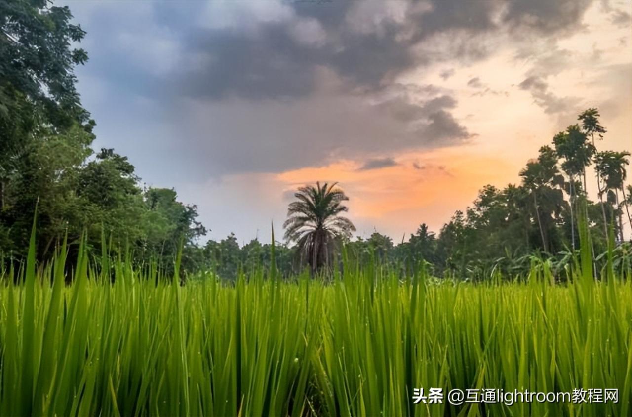 相机广角拍摄技巧图解(简单4个广角镜头摄影技巧)插图6