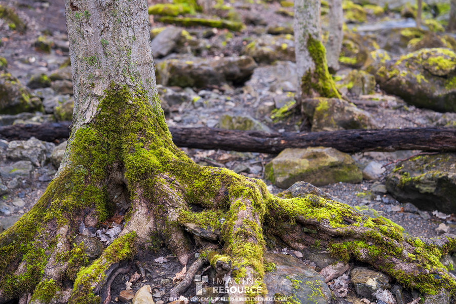 24-70f2.8一代画质(24-70 f2.8 值得买吗)插图8