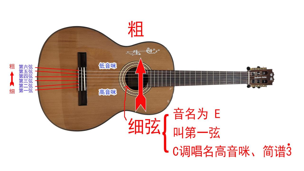吉他调音顺序1—6(吉他调音顺序1-6)插图