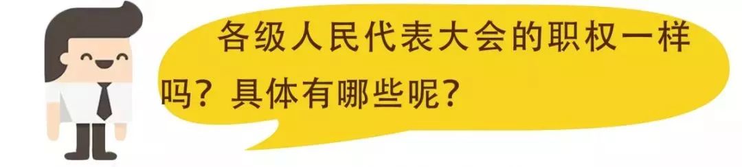 国家权力级别排行(国家权力排行)