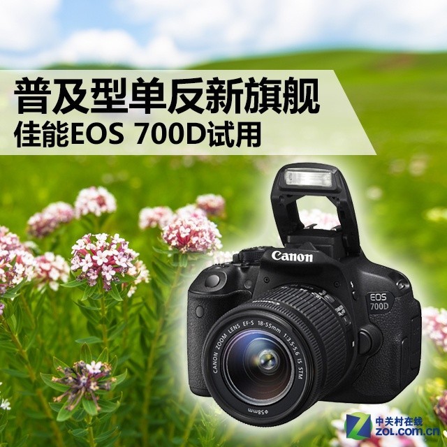佳能700d单反相机入门教程图解(佳能相机eos700d拍摄教程)插图