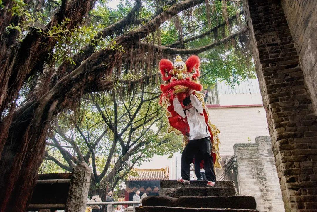 大湾区指的是哪些地区(大湾区指的是什么意思)插图9
