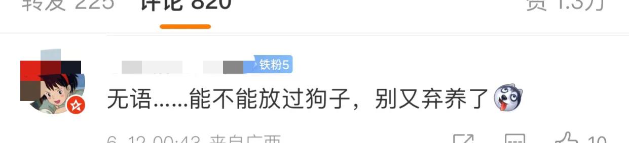 郑爽最近去哪了(郑爽去哪里发展了)插图14