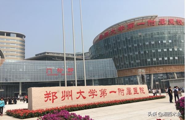 郑州王子健出来了吗(郑州王子健)插图1