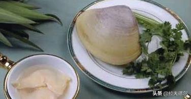 常见的45种海鲜贝壳(普通贝壳类海鲜有哪些)插图5