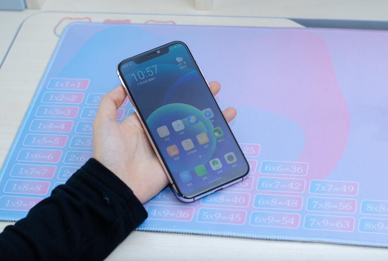 ipro p100学生卖多少钱(p10p手机参数配置)插图2
