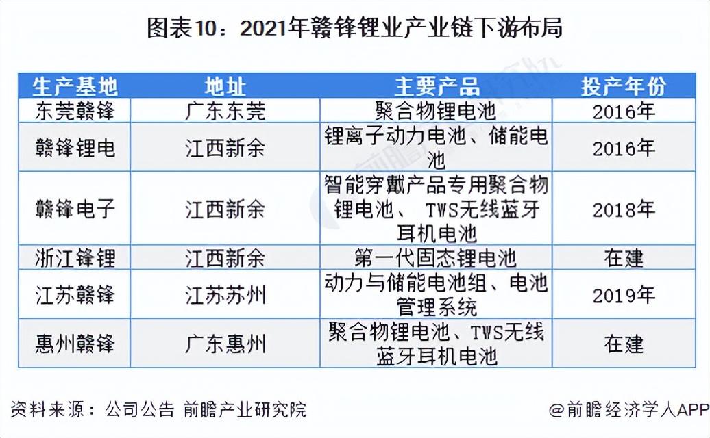 中国碳酸锂十大公司(中国锂电池十大排名)插图9