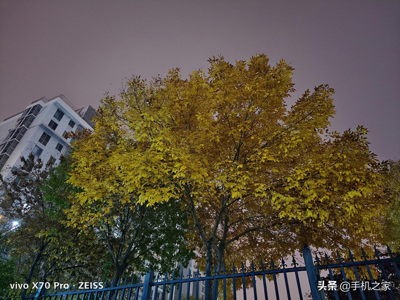 vivox70+pro参数(vivox70pro手机参数价格)插图18
