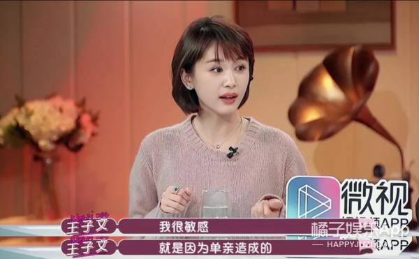 王子文个人资料简介(王子文个人资料)插图3