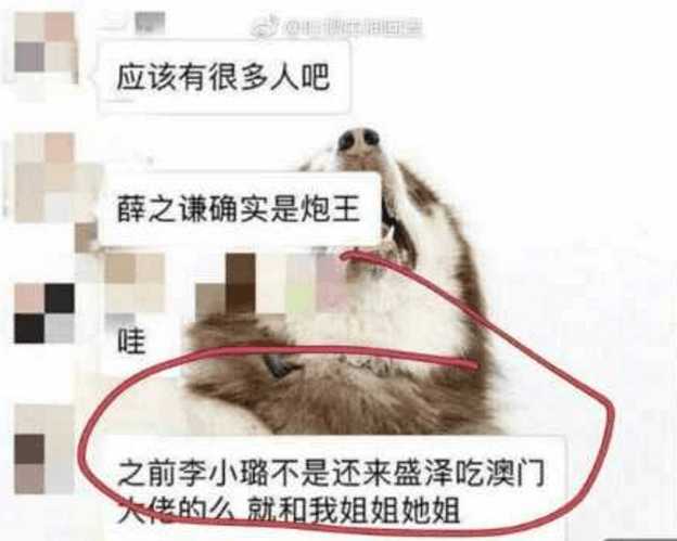 圈内爆料刘涛李小璐 (王思聪)插图5