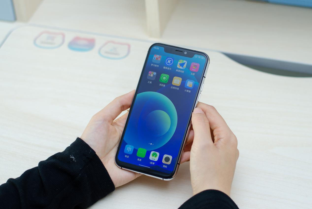 ipro p100学生卖多少钱(p10p手机参数配置)插图1