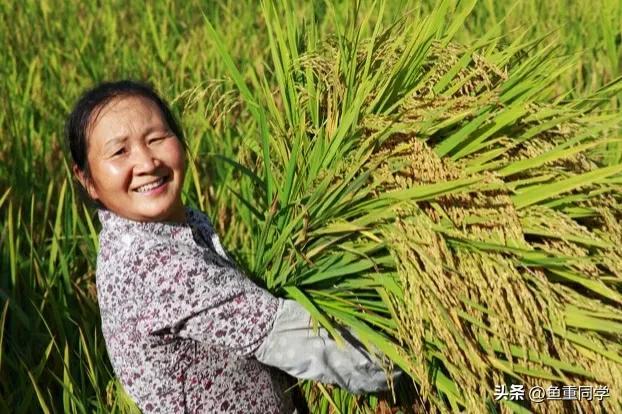 重阳节九月初九是什么意思 (关于九月九重阳节的谚语)